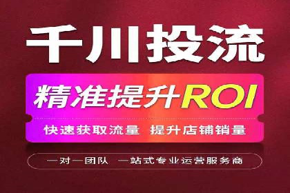 百度竞价广告的投放策略与成功案例分析